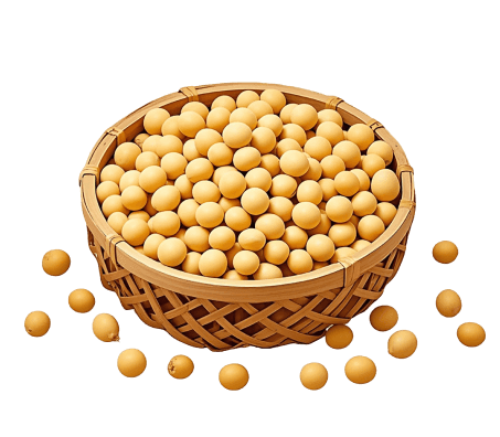 Soybean